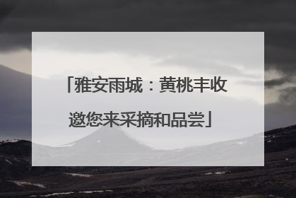 雅安雨城：黄桃丰收 邀您来采摘和品尝